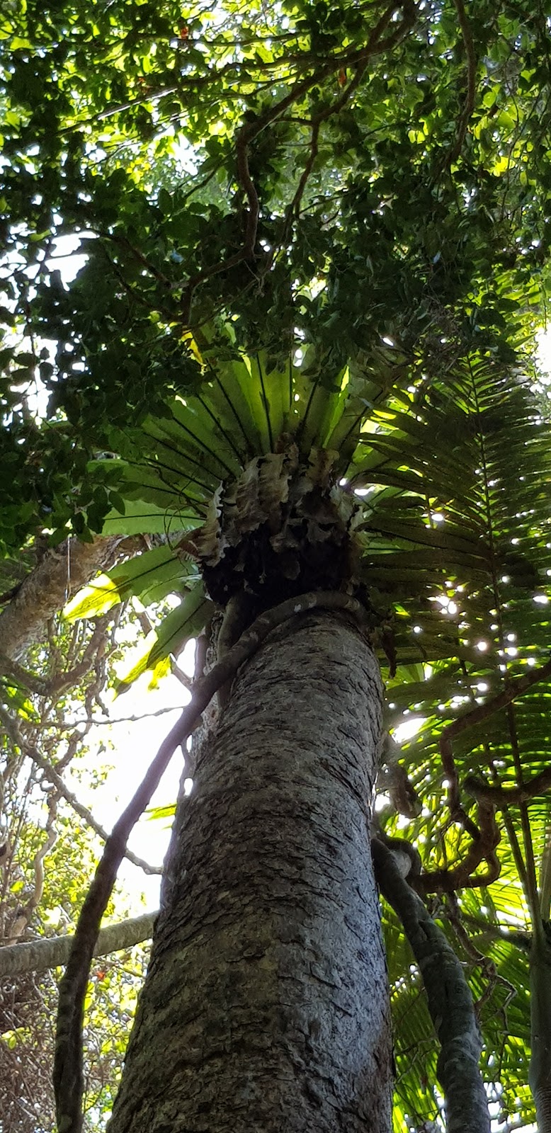 Sea Acres National Park | Port Macquarie NSW 2444, Australia