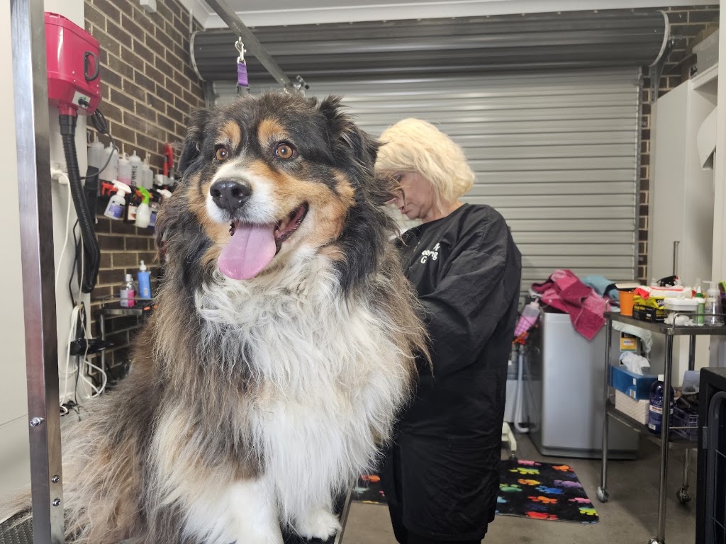 Pooch Pamper Grooming | 515 Wallan Rd, Whittlesea VIC 3757, Australia | Phone: 0432 328 644