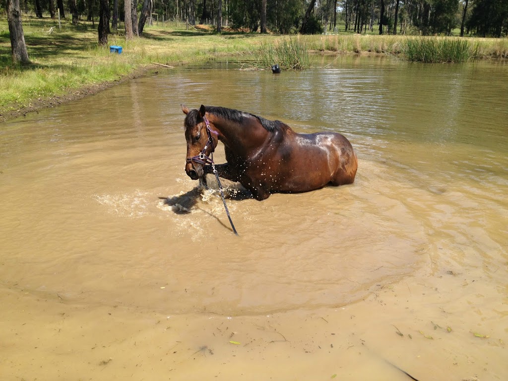 Wilmslow Park Horse Agistment |  | Lot 5 Alkoomie Place, Wilton NSW 2571, Australia | 0421735133 OR +61 421 735 133