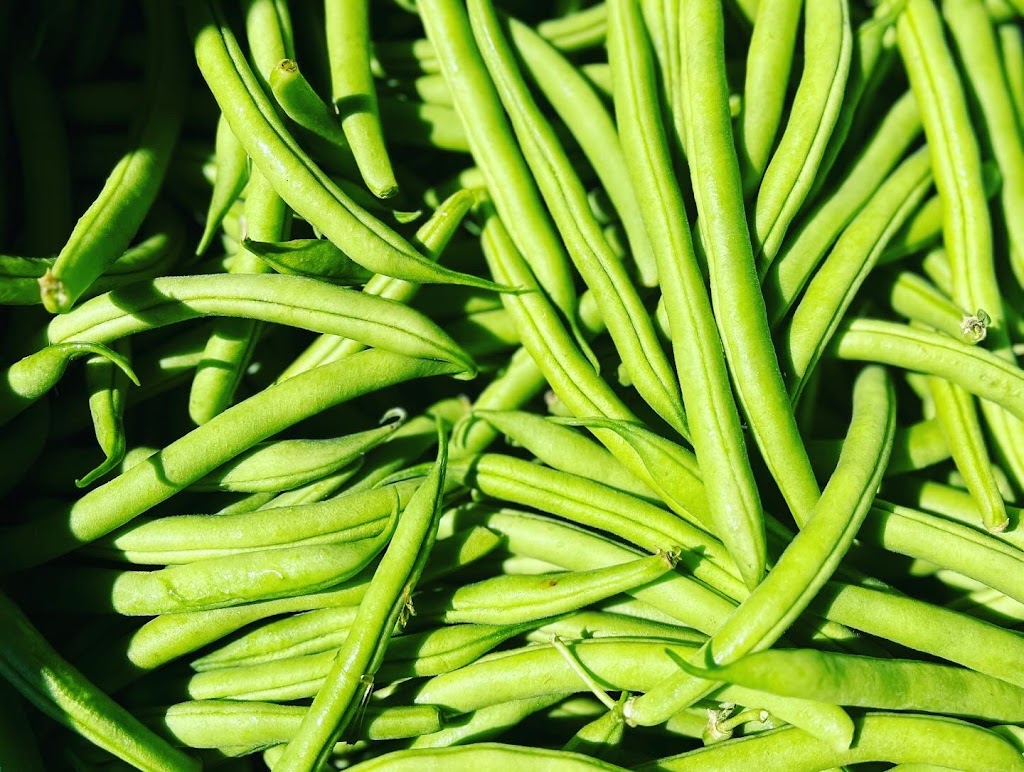 Bream Creek Community Market Garden Inc. | 247 Burnt Hill Rd, Bream Creek TAS 7175, Australia | Phone: 0459 304 141