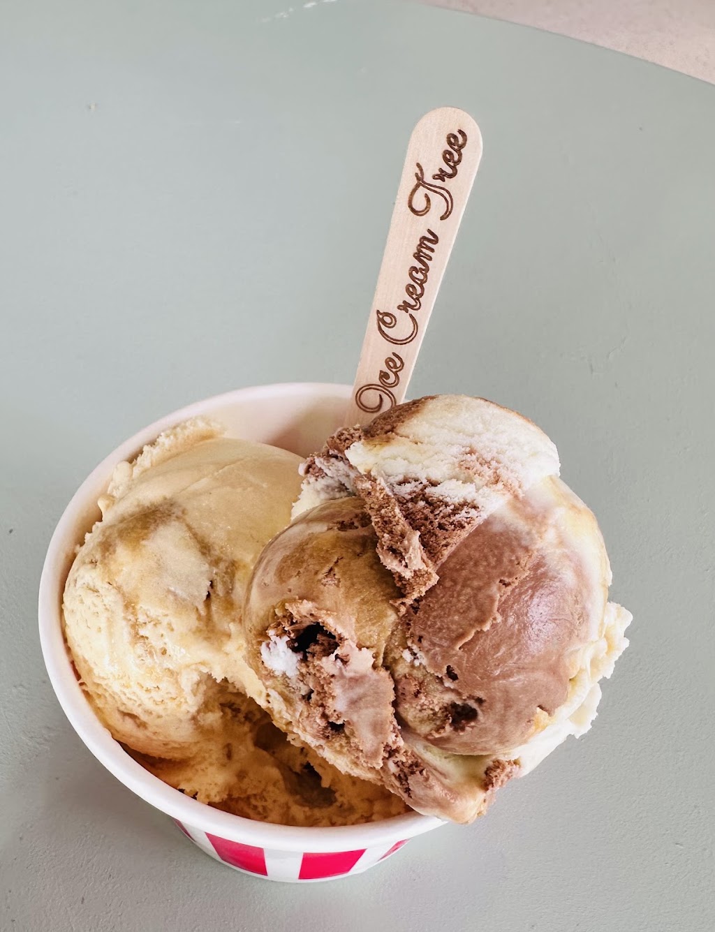 Ice cream Tree | 1 Temple St, Heyfield VIC 3858, Australia | Phone: 0493 426 939
