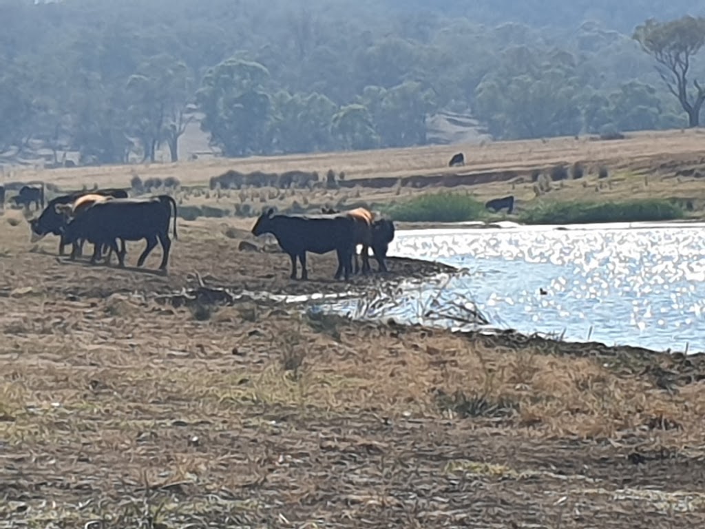 Bethungra Dam | 567 Bethungra Waterworks Rd, Bethungra NSW 2590, Australia