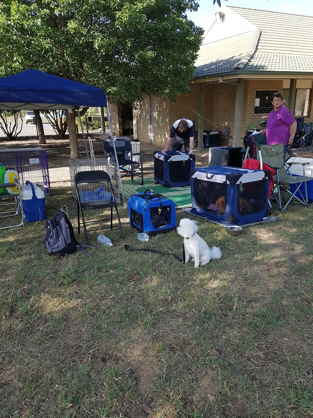 Belconnen Dog Obedience Club | 1 Morisset Rd, Mitchell ACT 2912, Australia | Phone: (02) 5105 0992