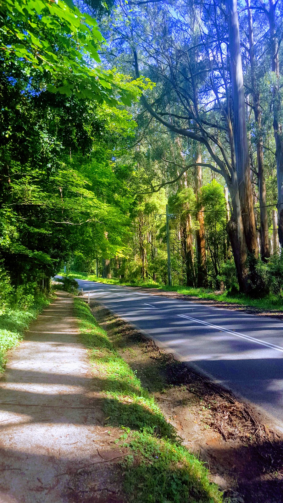 Alfred Nicholas Memorial Garden | 1A Sherbrooke Rd, Sherbrooke VIC 3789, Australia | Phone: 13 19 63