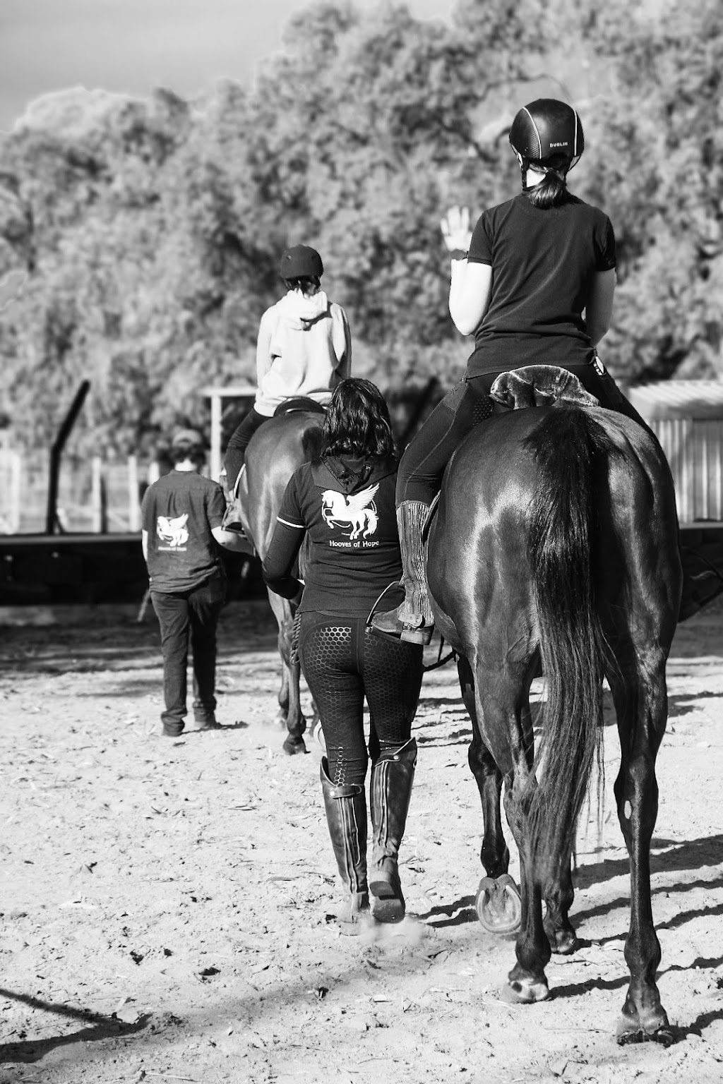 Hooves of Hope Australia (Sirian Star Pty Ltd) | 633 Blamey Rd, Yarroweyah VIC 3644, Australia | Phone: (08) 7547 4000