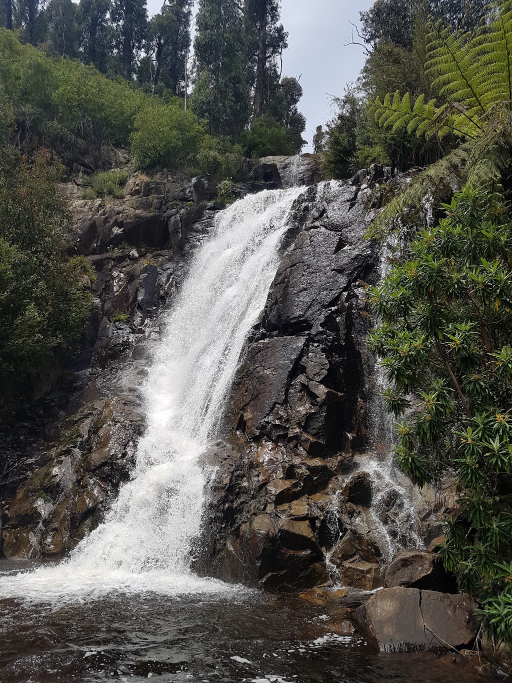 Steavenson Falls Reserve | Marysville VIC 3779, Australia | Phone: 13 19 63