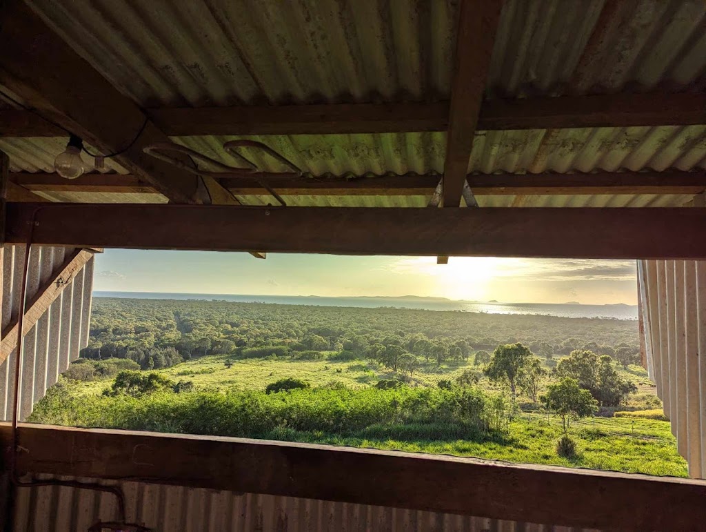 Yeppoon farmstay | 483 Farnborough Rd, Farnborough QLD 4703, Australia | Phone: 0412 834 163