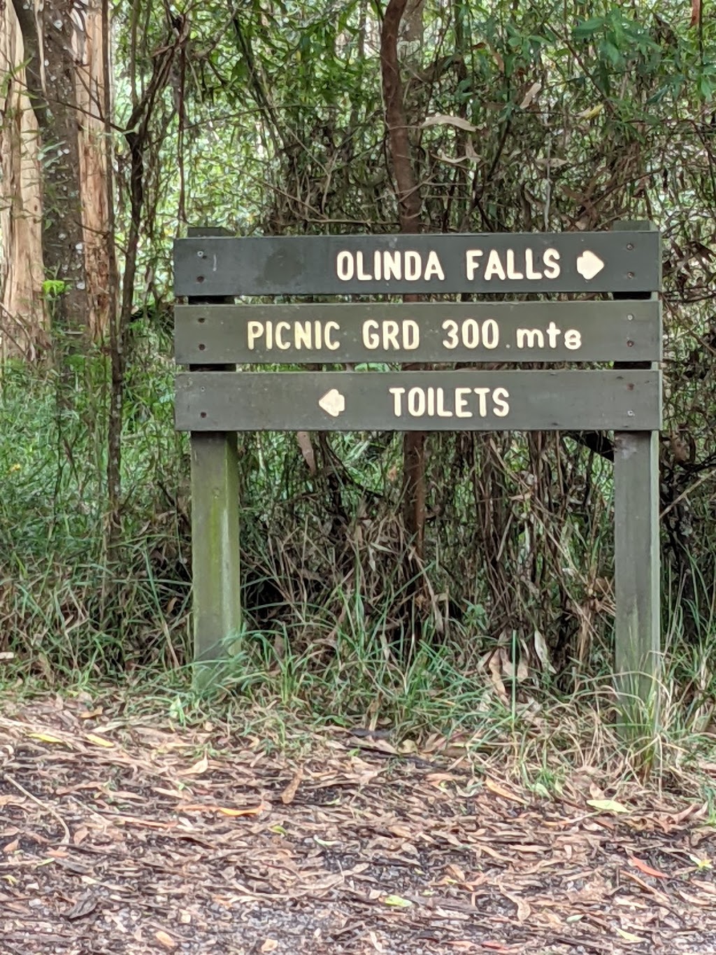Olinda Falls |  | Falls Track, Olinda VIC 3788, Australia | 131963 OR +61 131963