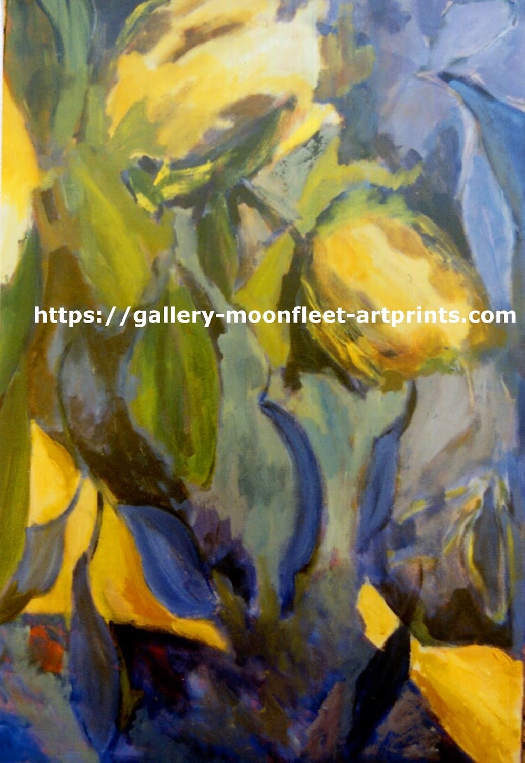 Art Prints-Gallery Moonfleet-Sarah Willard Gray | art gallery | 24 Holly St, Bowral NSW 2576, Australia | 0248624106 OR +61 2 4862 4106
