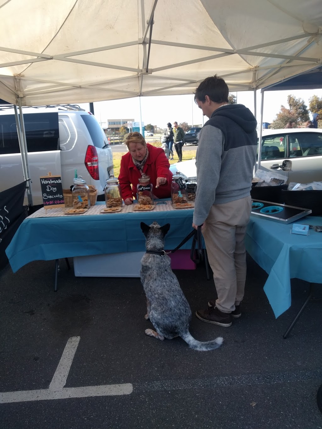 Torquay Farmers Market - | Torquay VIC 3228, Australia | Phone: 0418 315 026