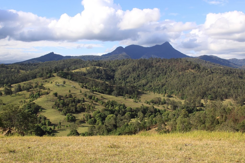Mebbin Springs Estate | Kyogle Rd, Kunghur NSW 2484, Australia | Phone: 0402 567 570