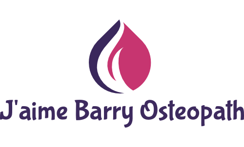 Dr Jaime Barry Osteopath | 41 Howard Street, (in THM gym), Epsom VIC 3551, Australia