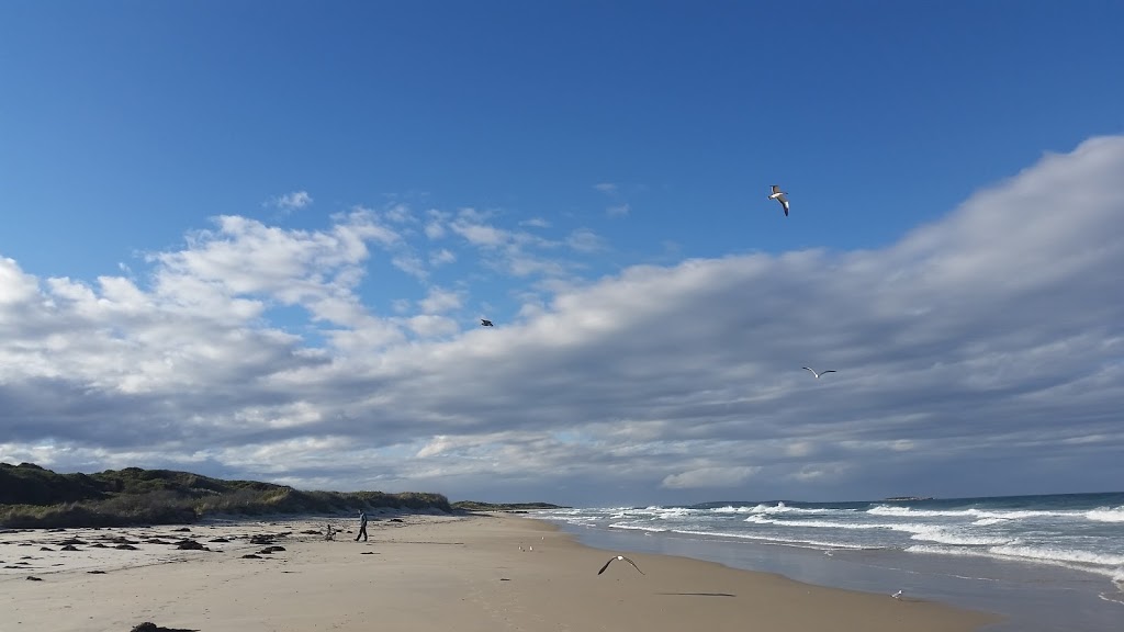 Scamander Conservation Area | park | Tasmania, Australia