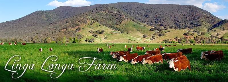 Linga Longa Farm | 437 Youngs Rd, Wingham NSW 2429, Australia | Phone: 0447 570 780