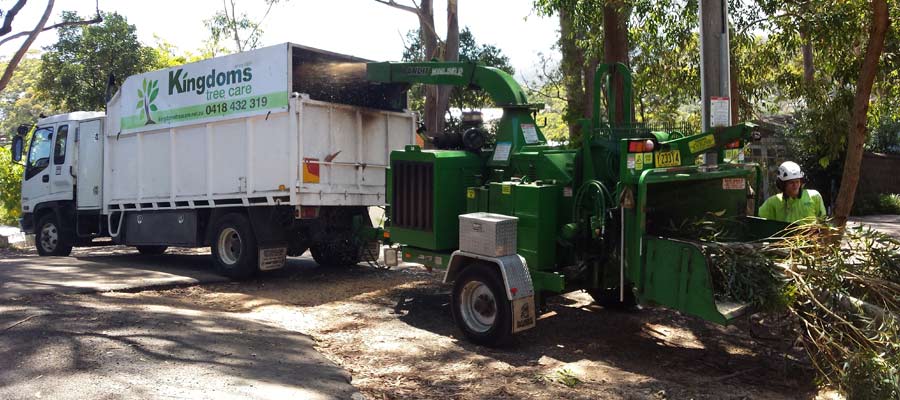 Kingdoms Tree Care | 24 Fairway Dr, Terrigal NSW 2260, Australia | Phone: 0418 432 319