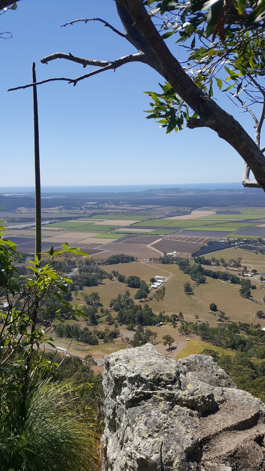 Mt Ninderry Lookout | park | 3 Eucalyptus Cres, Ninderry QLD 4561, Australia