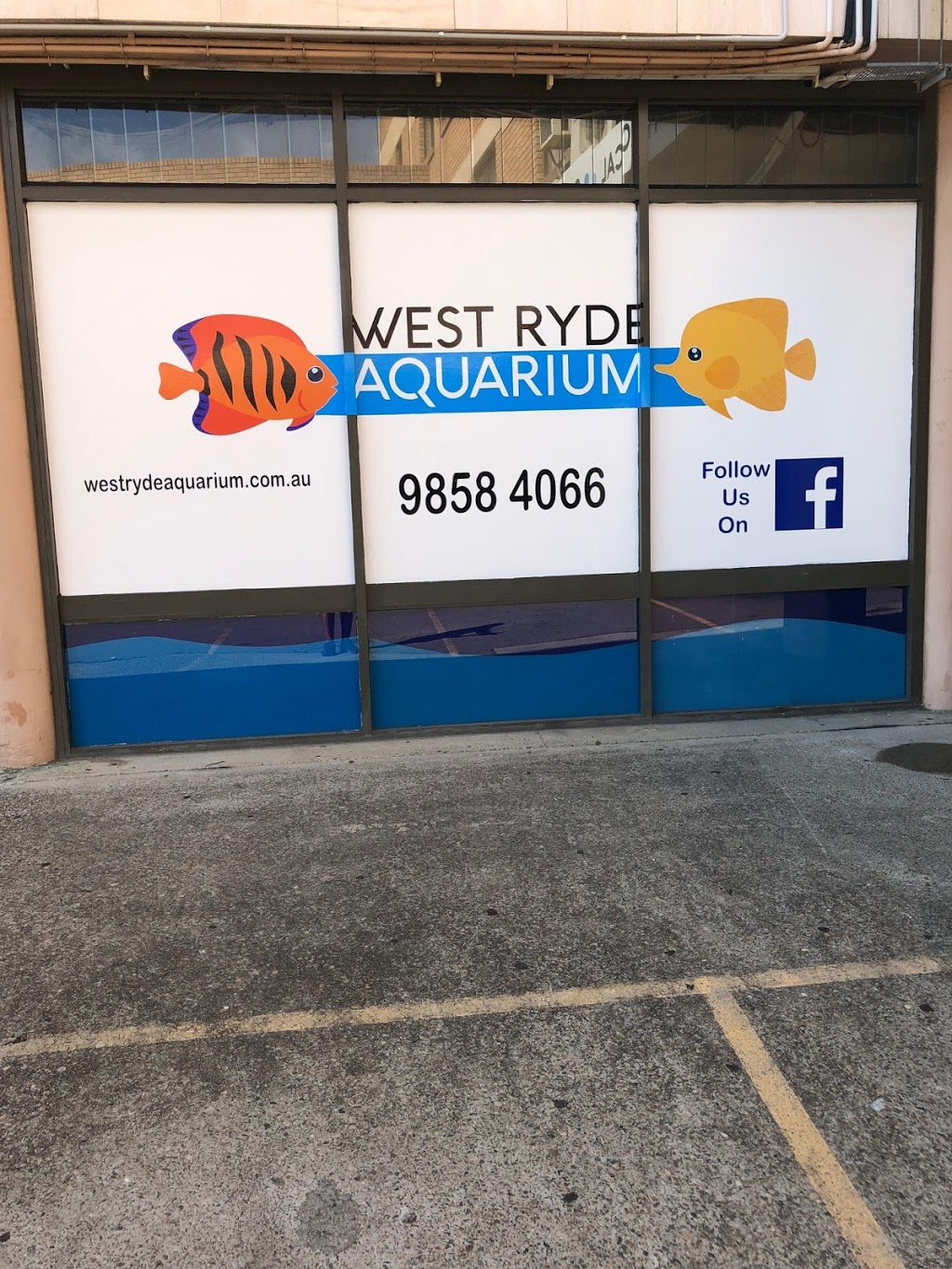 West Ryde Aquarium | pet store | Shop 9/2 Marsden Rd, Ermington NSW 2115, Australia | 0298584066 OR +61 2 9858 4066