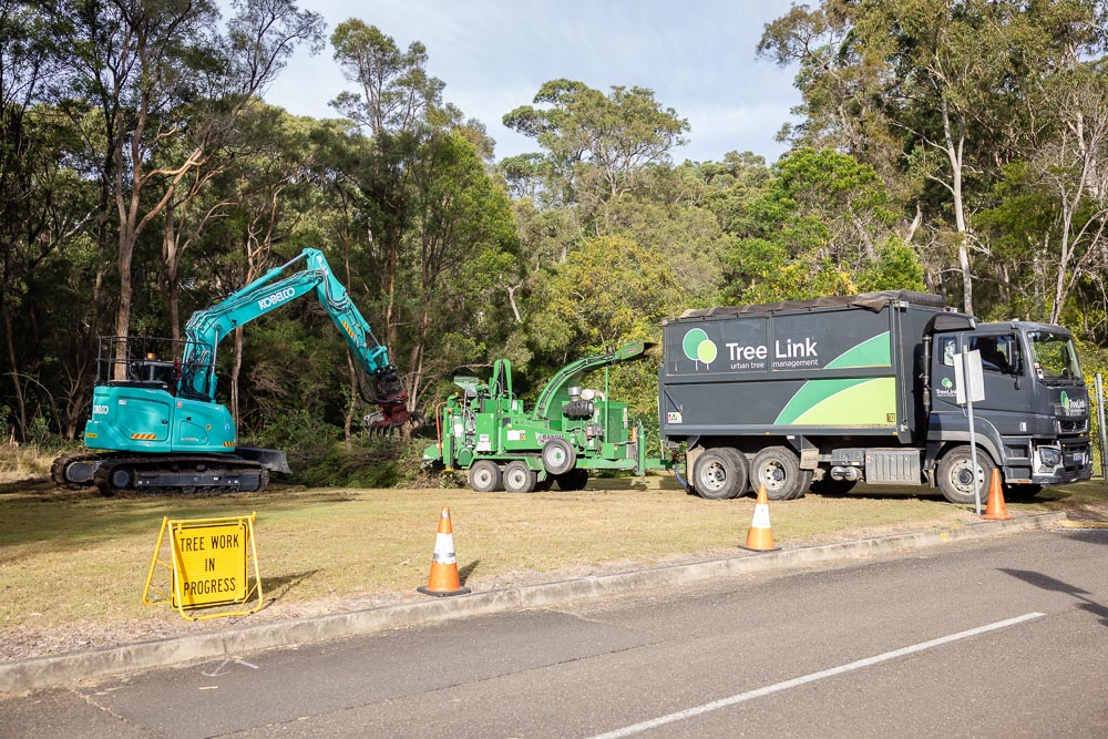 TreeLink Southern Highlands | 5 Railway Parade, Bowral NSW 2576, Australia | Phone: 0425 064 502