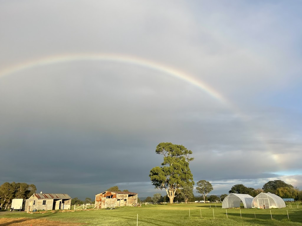 Thomson River Farms | 13 Commercial Rd, Heyfield VIC 3858, Australia | Phone: 0420 532 692