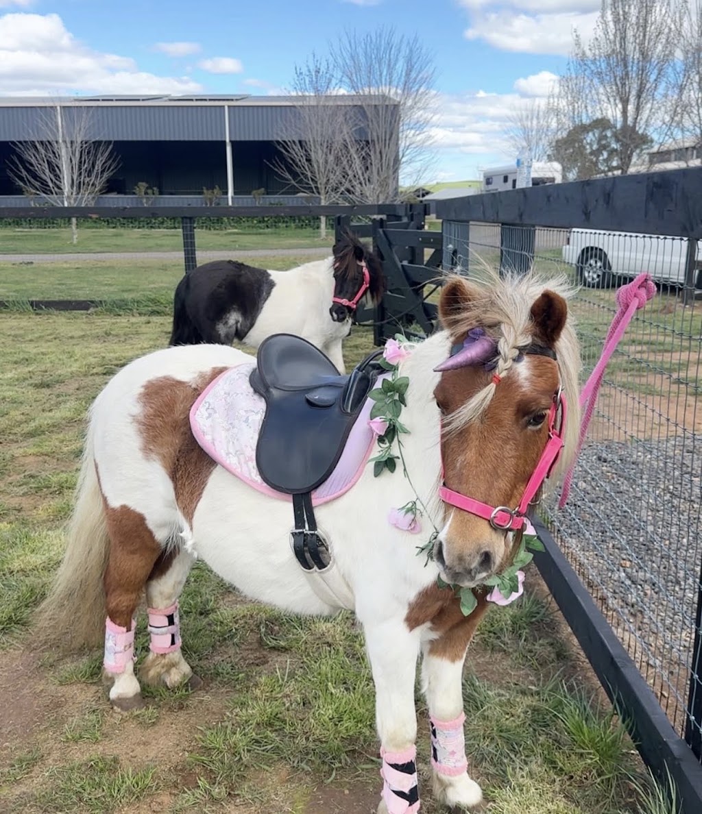 Blu Sky Pony Rides | 125 Beveridge Rd, Beveridge VIC 3753, Australia | Phone: 0413 079 219