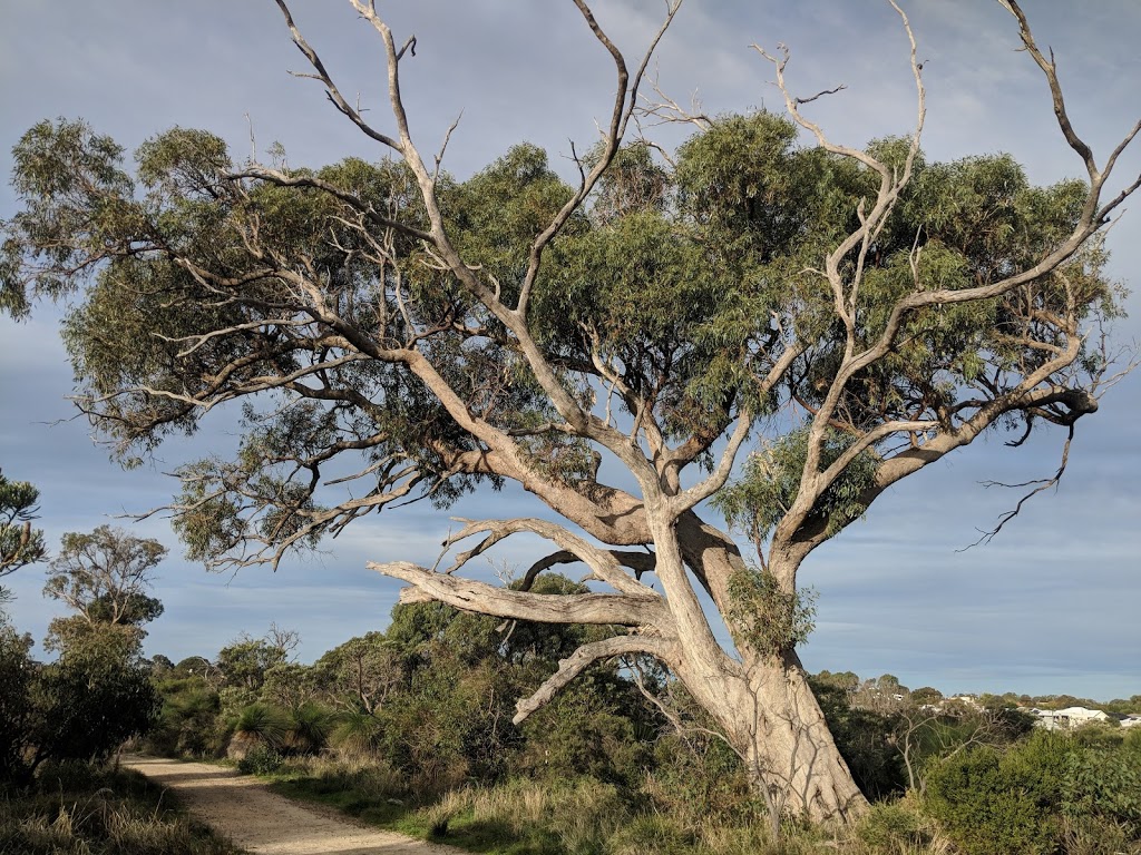 Star Swamp Bushland Reserve | park | Groat St, North Beach WA 6020, Australia | 0894207207 OR +61 8 9420 7207