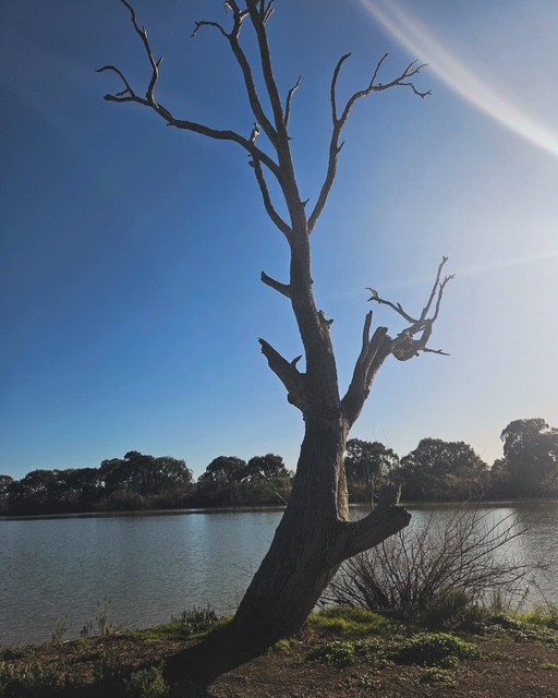 MATILDA RIVERBOATS | Riverglen Marina, Riverglen Dr, White Sands SA 5253, Australia | Phone: 0411 239 284
