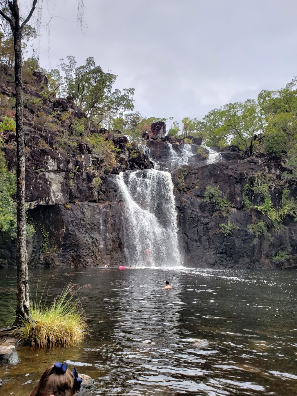 Cedar Creek Falls | park | Cedar Creek QLD 4800, Australia | 0749453967 OR +61 7 4945 3967