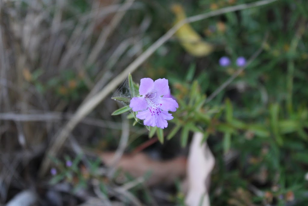 Don Shepherd Nature Reserve Trail | park | 19 Karnup Rd, Baldivis WA 6171, Australia | 0895280333 OR +61 8 9528 0333