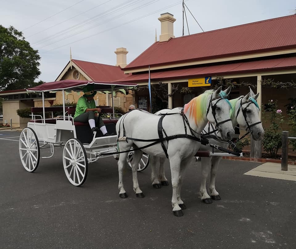 Carriage of Occasion | travel agency | 196 Bletchley Rd, Bletchley SA 5255, Australia | 0438948460 OR +61 438 948 460
