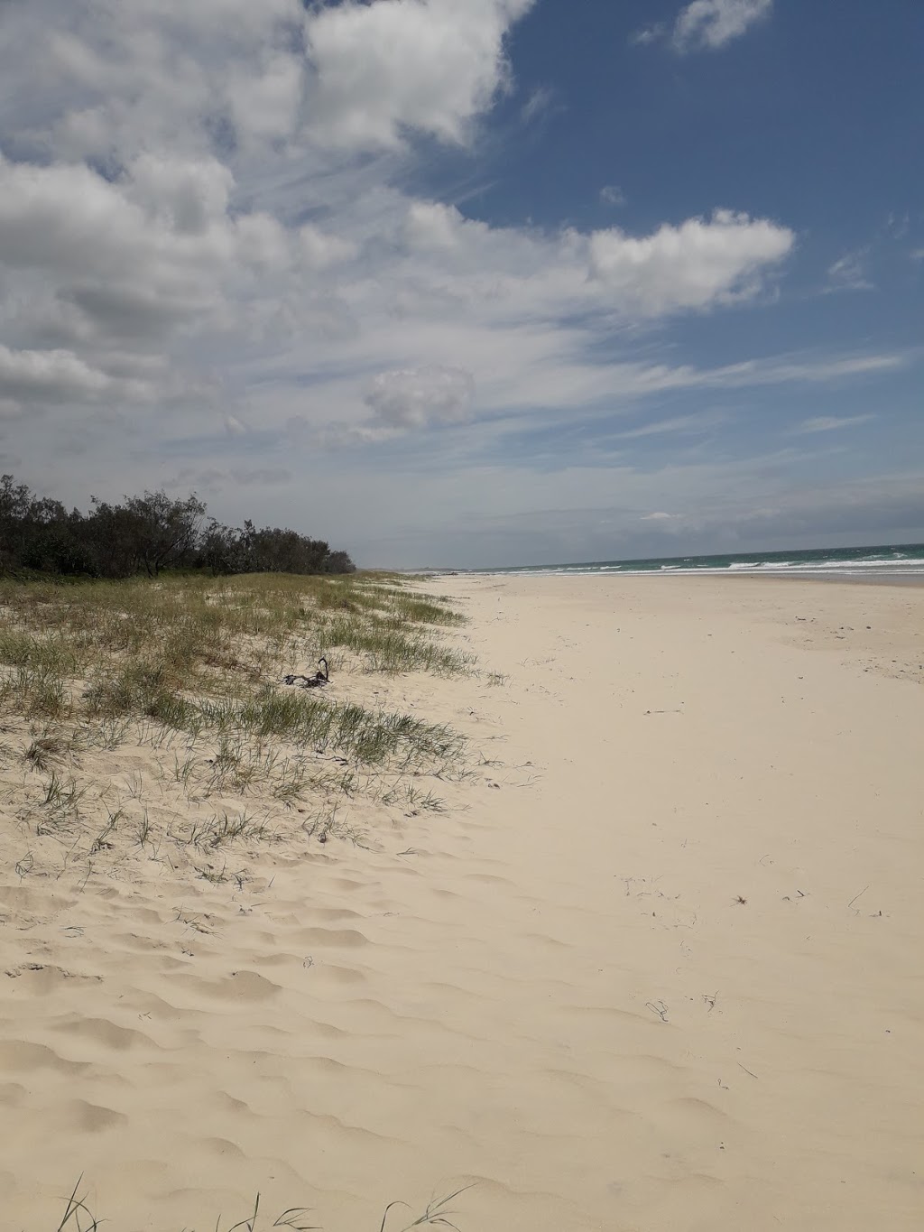 Couchy Creek Nature Reserve | Numinbah NSW 2484, Australia