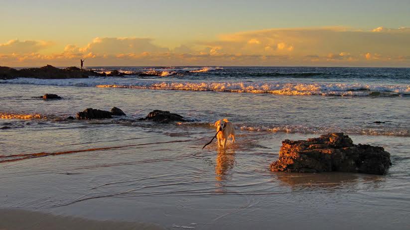 Sea Horse Diamond Beach | 209 Diamond Beach Rd, Diamond Beach NSW 2430, Australia | Phone: 0467 489 975