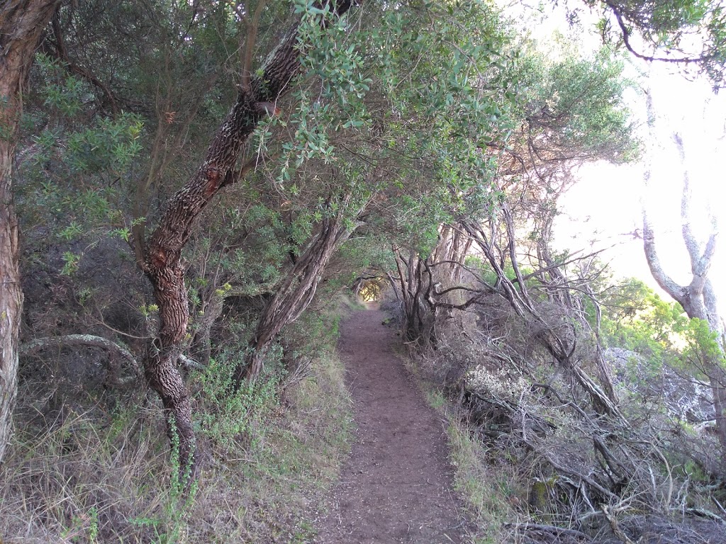 Burabong creek lookout | park | Two Bays Walking Track, Cape Schanck VIC 3939, Australia