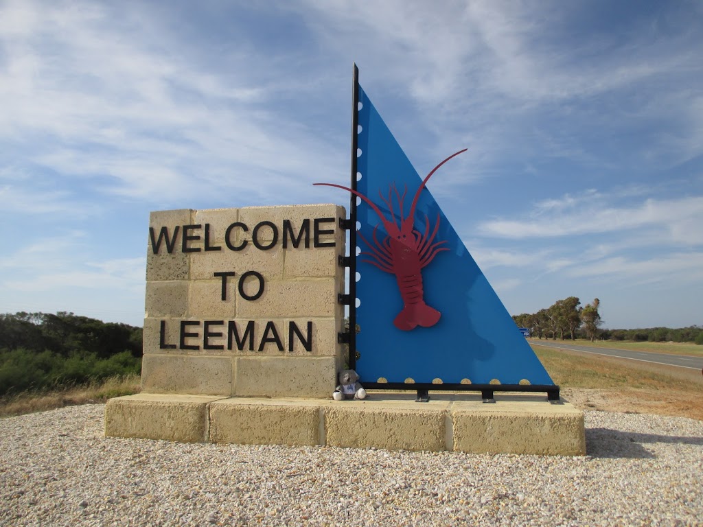 Leeman Primary School | 10 Spencer St, Leeman WA 6514, Australia | Phone: (08) 9953 1083
