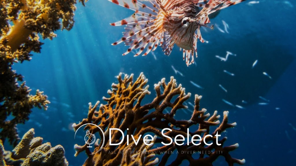 Dive Select | travel agency | 481 Bunnerong Rd, Matraville NSW 2036, Australia | 0406219894 OR +61 406 219 894