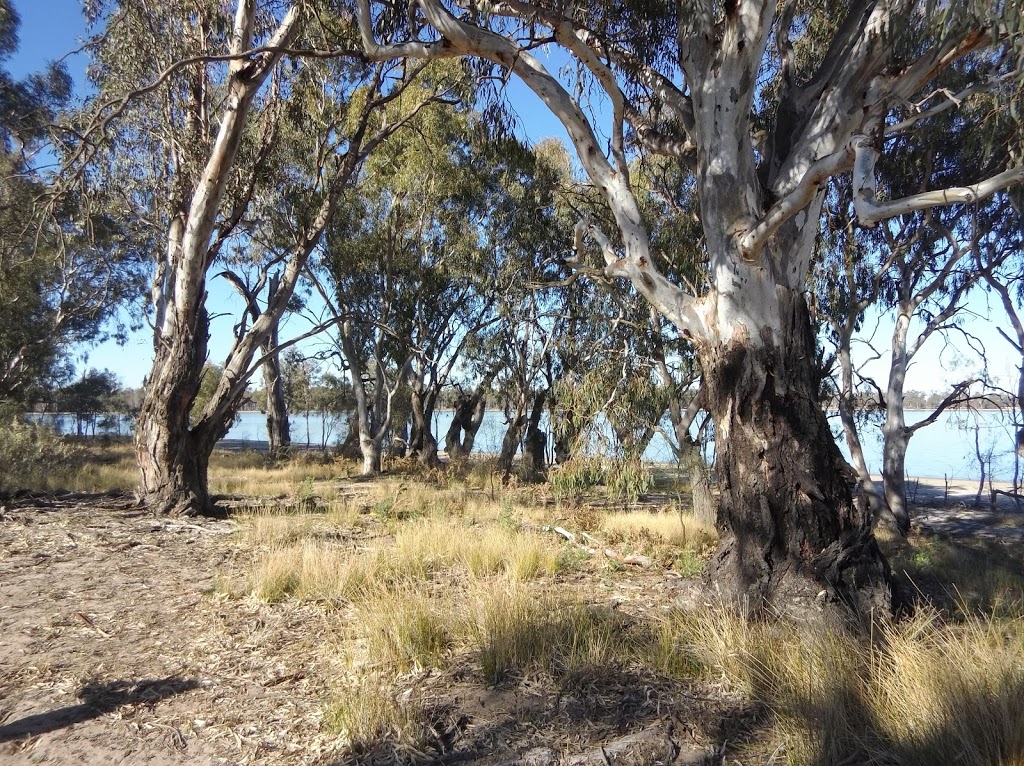 Yanga Lake Red Gum Bird Hide | park | Yanga Lake Silo Trail, Yanga NSW 2711, Australia