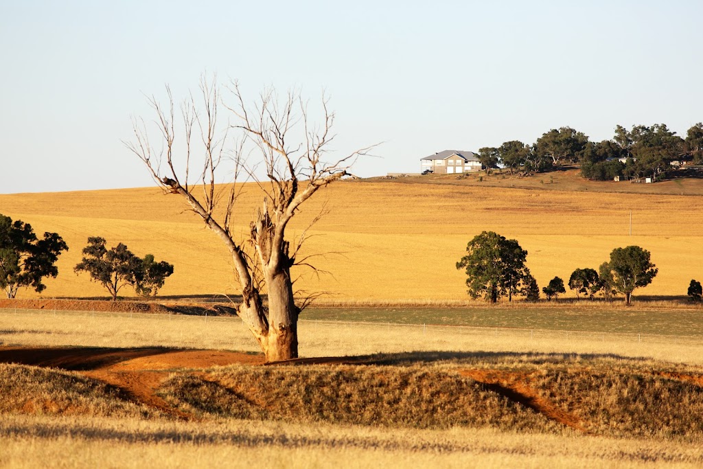 Darryls Photography | 53 Tobruk St, Wagga Wagga NSW 2650, Australia | Phone: 0421 668 172