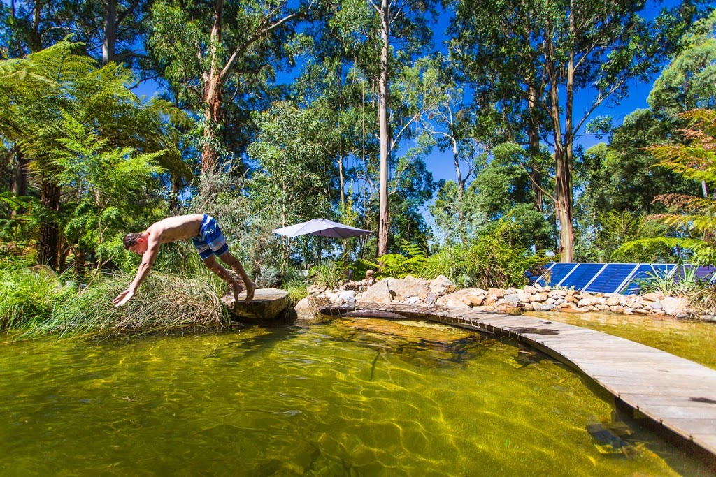 Billabong Falls | park | 1 Holden Rd, Olinda VIC 3788, Australia | 0424707578 OR +61 424 707 578