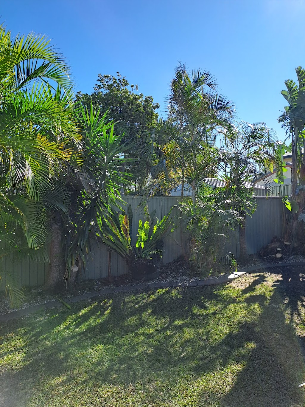 Coastal Trees | 94 Aloha Dr, Chittaway Bay NSW 2261, Australia | Phone: 0402 661 491