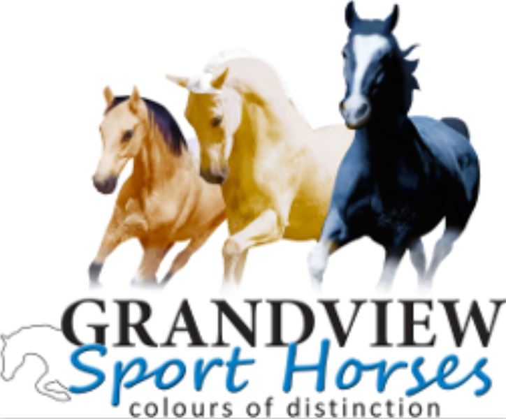 GrandView Sport Horses | 65 Landale Rd, Tooradin VIC 3980, Australia | Phone: 0420 903 789