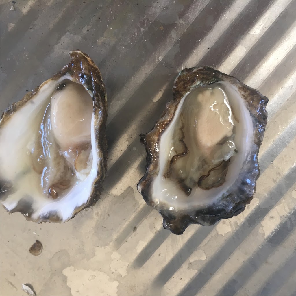 Clark Oysters | 11/170 Greens Rd, Greenwell Point NSW 2540, Australia | Phone: 0450 637 470