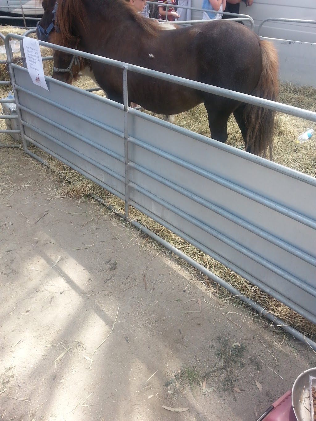 Affordable Gates and Hay Feeders | 17 Lyons Rd, Cohuna VIC 3568, Australia | Phone: 0437 796 990