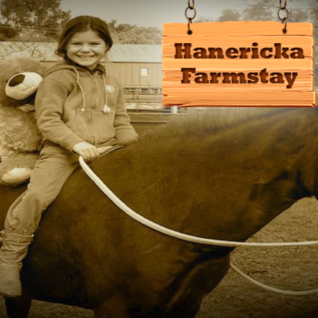 Hanericka Farmstay | Mcrories Rd & Adams Line, Yerong Creek NSW 2642, Australia | Phone: (02) 6920 3709