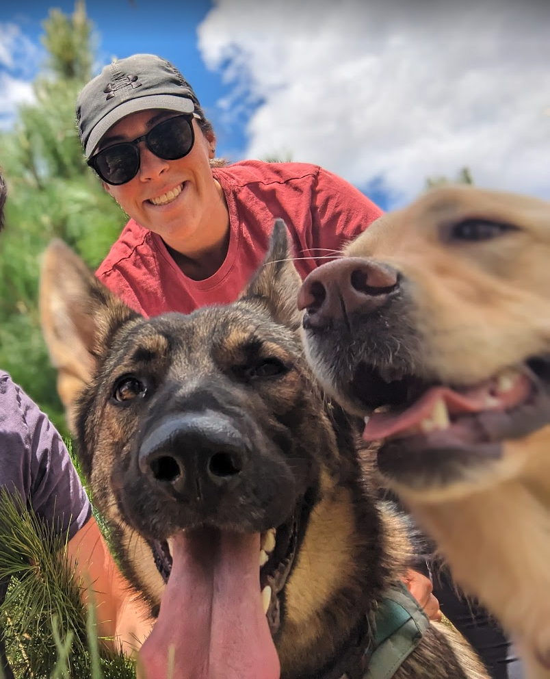 Friendly Tails | 115 Tempy Rd, Geilston Bay TAS 7015, Australia | Phone: 0420 701 993