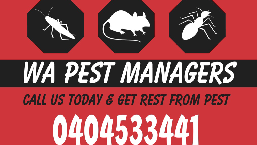 WA Pest Managers | home goods store | 6 Cornforth Way, Piara Waters WA 6112, Australia | 0404533441 OR +61 404 533 441