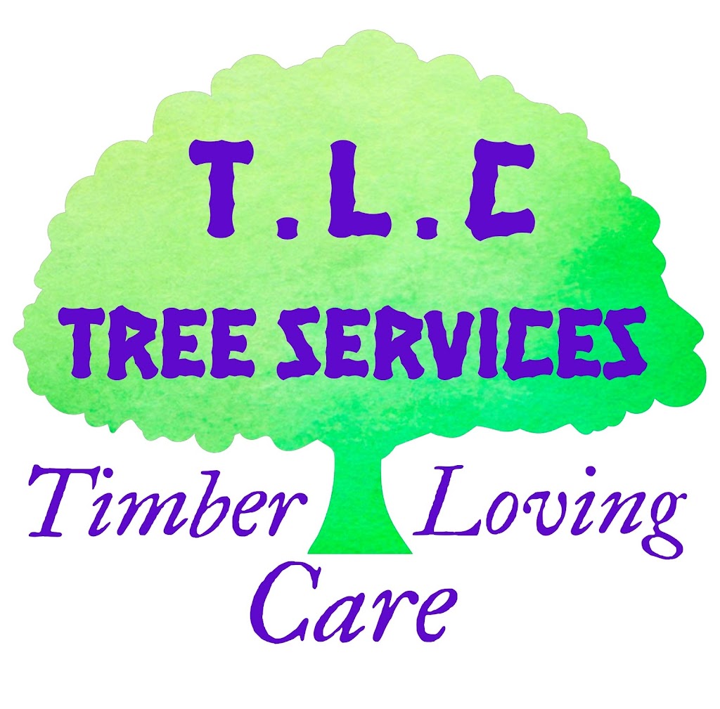 Timber Loving Care Tree Services | 74 Rose St, Inverell NSW 2360, Australia | Phone: 0467 486 574