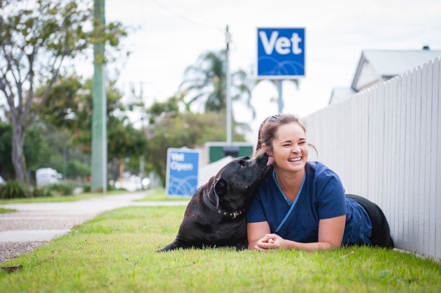 Deagon & Sandgate Veterinary Practice | 80 Board St, Deagon QLD 4017, Australia | Phone: (07) 3869 0075