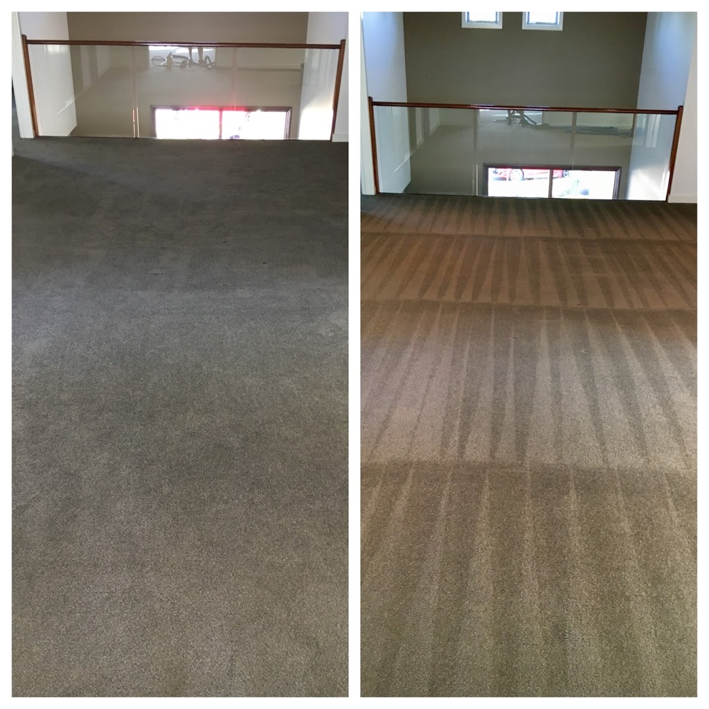 Evolution Group Carpet Cleaning and Pest Control | laundry | 2 Activa Way, Hope Island QLD 4212, Australia | 0431836551 OR +61 431 836 551