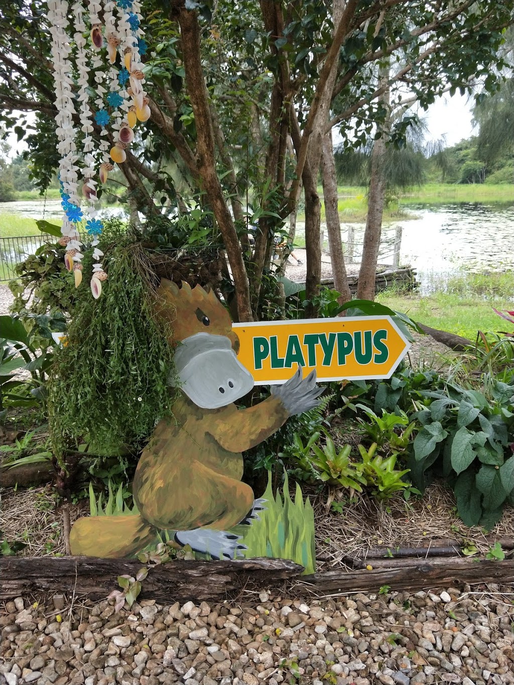 Australan Platypus Park @ Tarzali Lakes | 912 Malanda Millaa Millaa Rd, Minbun QLD 4886, Australia | Phone: (07) 4097 2713