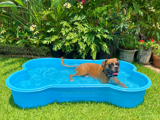 Dog Pools Australia | 2 Manubar Pl, Chapel Hill QLD 4069, Australia | Phone: 0403 273 250