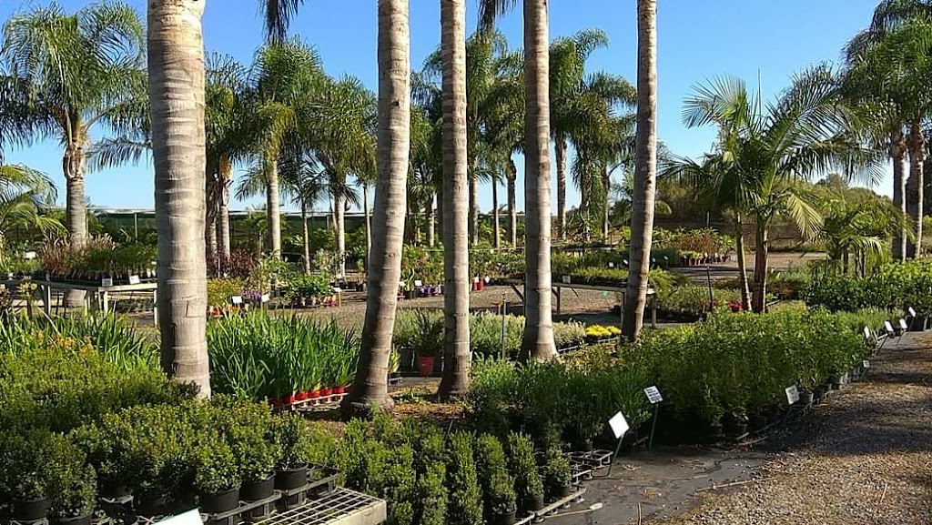 Mandurah Nursery | 25 Lymon Rd, Stake Hill WA 6181, Australia | Phone: 0407 702 132